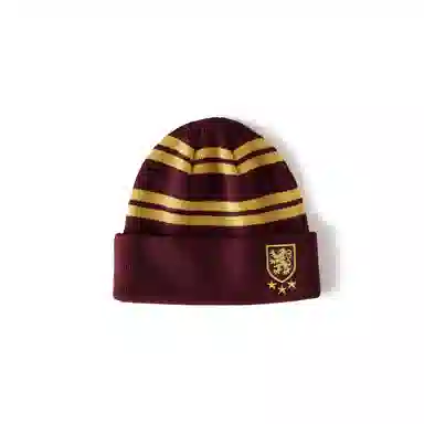 Champion x Harry Potter Striped Beanie