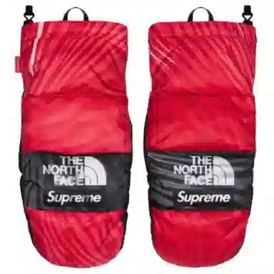 Supreme SS23 Week 3 SUPREMETHE NORTH FACE PRINTED MONTANA MITT