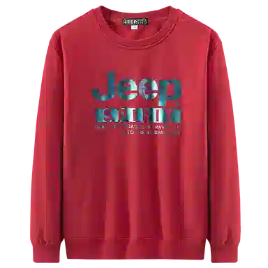 JEEP SPIRIT T