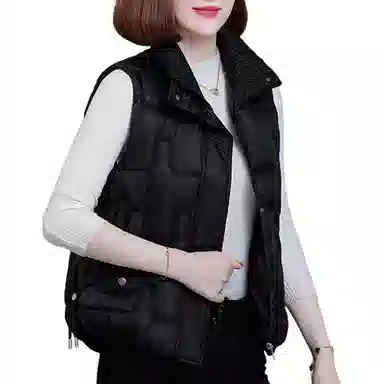 左岸 时尚加厚保暖纯色立领通勤马甲 女款