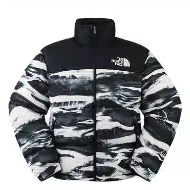 THE NORTH FACE ICON FW25 96 Nuptse logo700