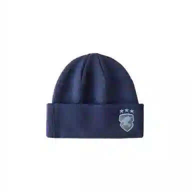 Champion x Harry Potter Striped Beanie