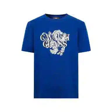 Cavalli Class T