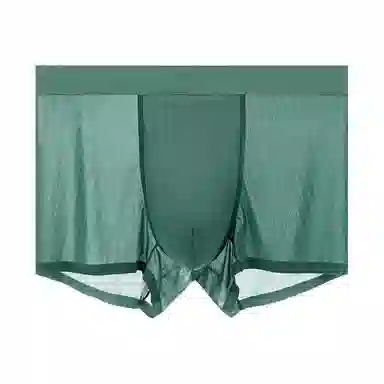 LOUGHNEA Ice Silk Boxer Briefs