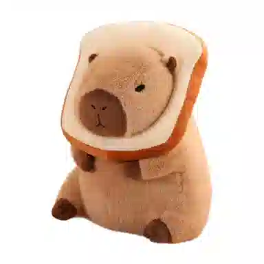 25cm35cm