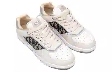 DIOR B27 Oblique