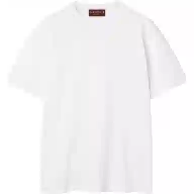 GUCCI FW25 GT