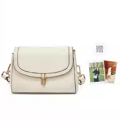 红蜻蜓 高级感经典复古时尚百搭 牛皮 单肩斜挎包 女款 咖啡色/米白色