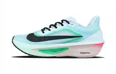 Nike Zoom Fly 6