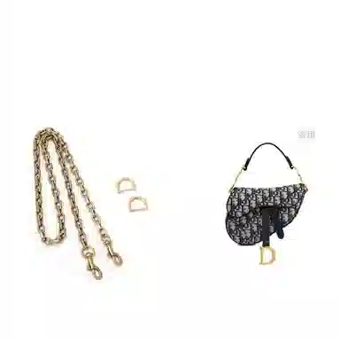 dior saddle