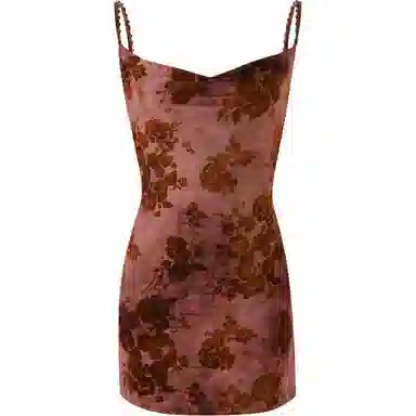 Tiger Mist SPARROW MINI DRESS