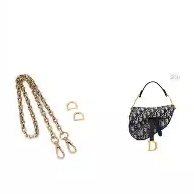 dior saddle