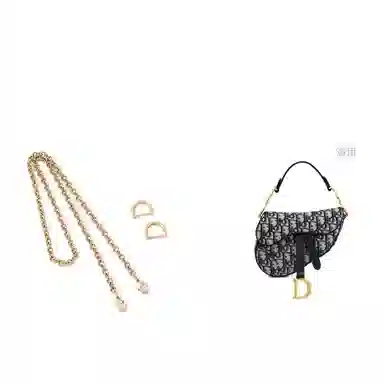 dior saddle