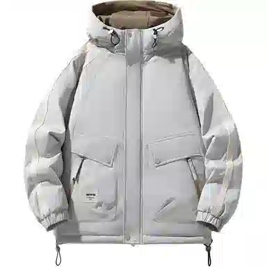 ICVBL 85