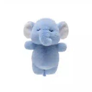 19cm