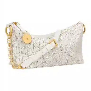 Dior Diorstar Shoulder Bag