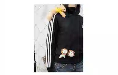 adidas originals classic three-stripe sportswear