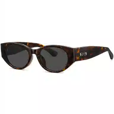 CAPONI EMS-TR