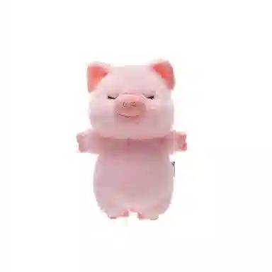 19cm