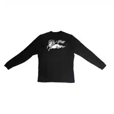 Arcteryx RHO LT logo