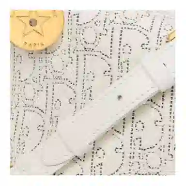 Dior Diorstar Shoulder Bag