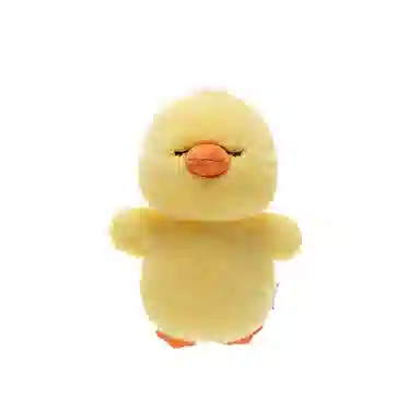 19cm