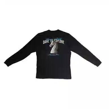 Arcteryx RHO LT logo