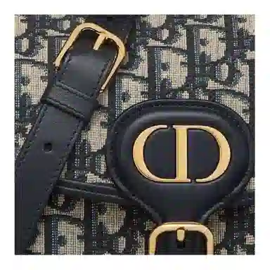 DIOR Bobby Multicarry