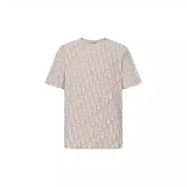 DIOR T