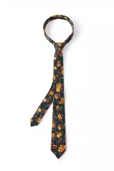 红豆 经典设计复古风花奔图案高品质独特百搭款式商务休闲 涤纶 领带 男款