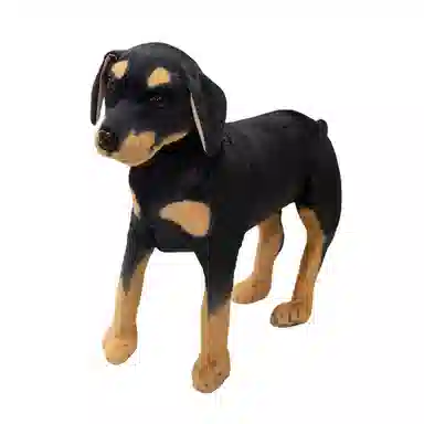 25cm30cm40cm50cm60cm70cm