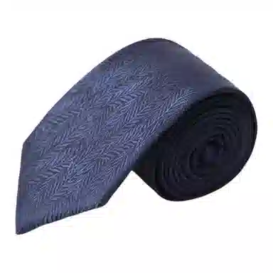 Hongdou Classic Business Tie