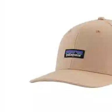 patagonia Logo