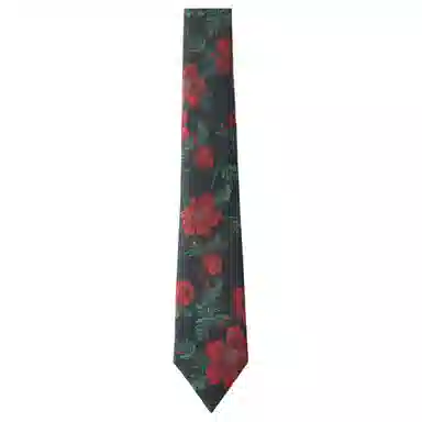 Hongdou Tie