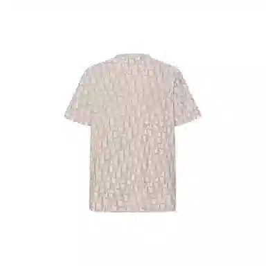 DIOR T