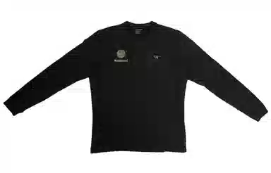 Arcteryx RHO LT logo