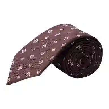 红豆 精致图案 商务独特高端品质经典舒适柔软质感优雅潮流简约设计时尚 涤纶 领带 男款