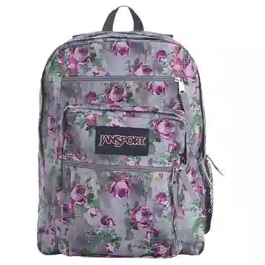 JanSport 34L