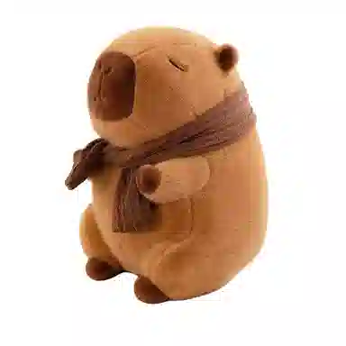 25cm30cm40cm90cm50cm