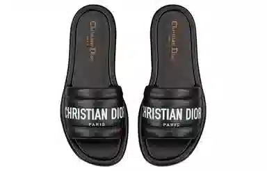 DIOR Every-D