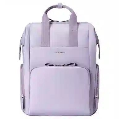 SAMSONITE ASH