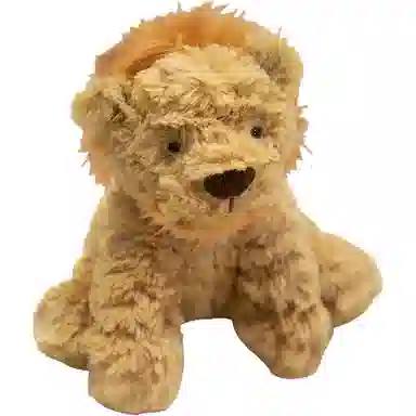 25cm