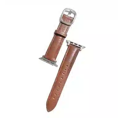 Apple Watch S11S10S9S8S7se