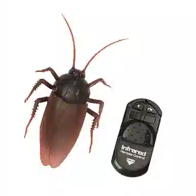 馨枕居 会动的蟑螂 有趣奇特 创意整蛊玩具