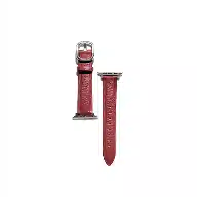 Apple Watch S11S10S9S8S7se