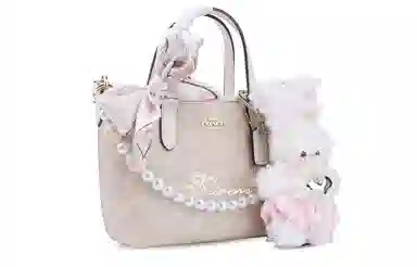 COACH City 15 Velvet Frost