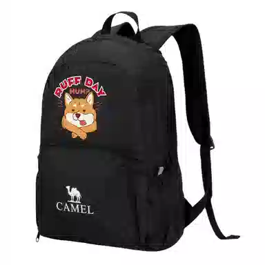 CAMEL 21L