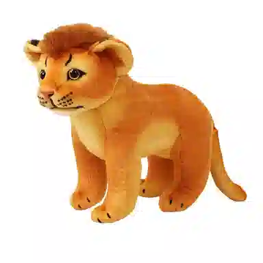 26cm40cm