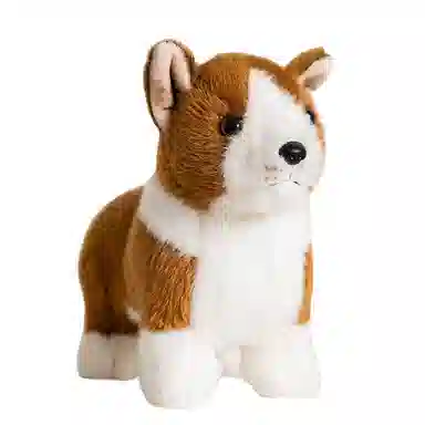 20cm25cm