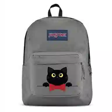 JanSport 26L Logo